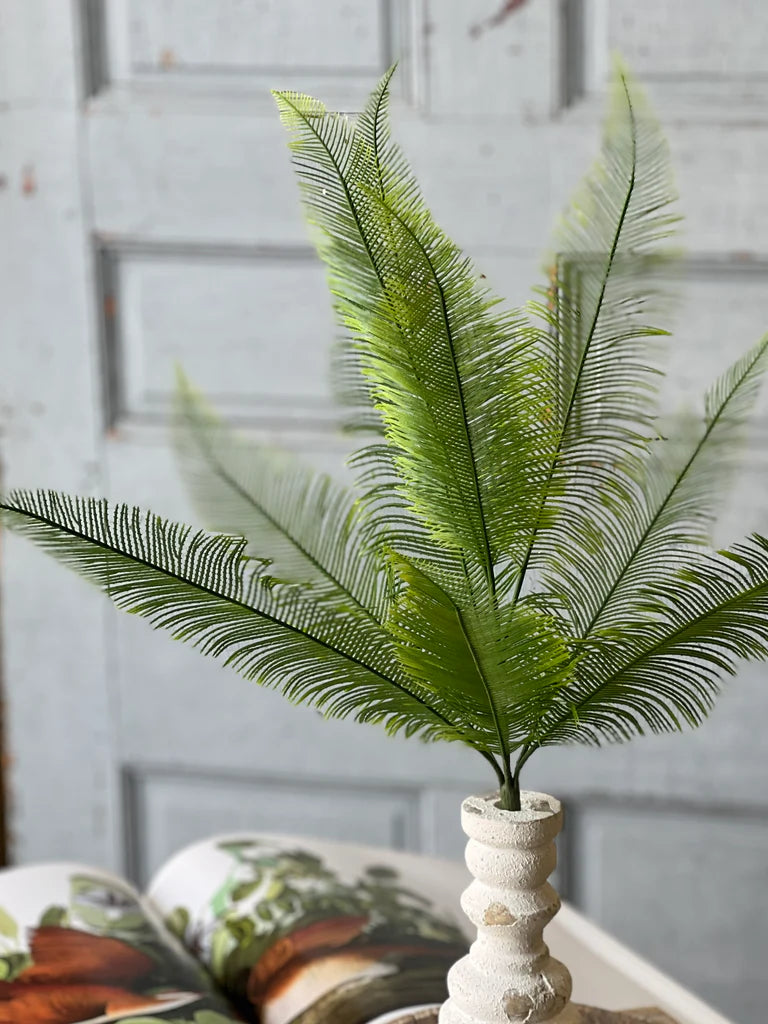 Quill Fern Bush, Feathered Farmhouse