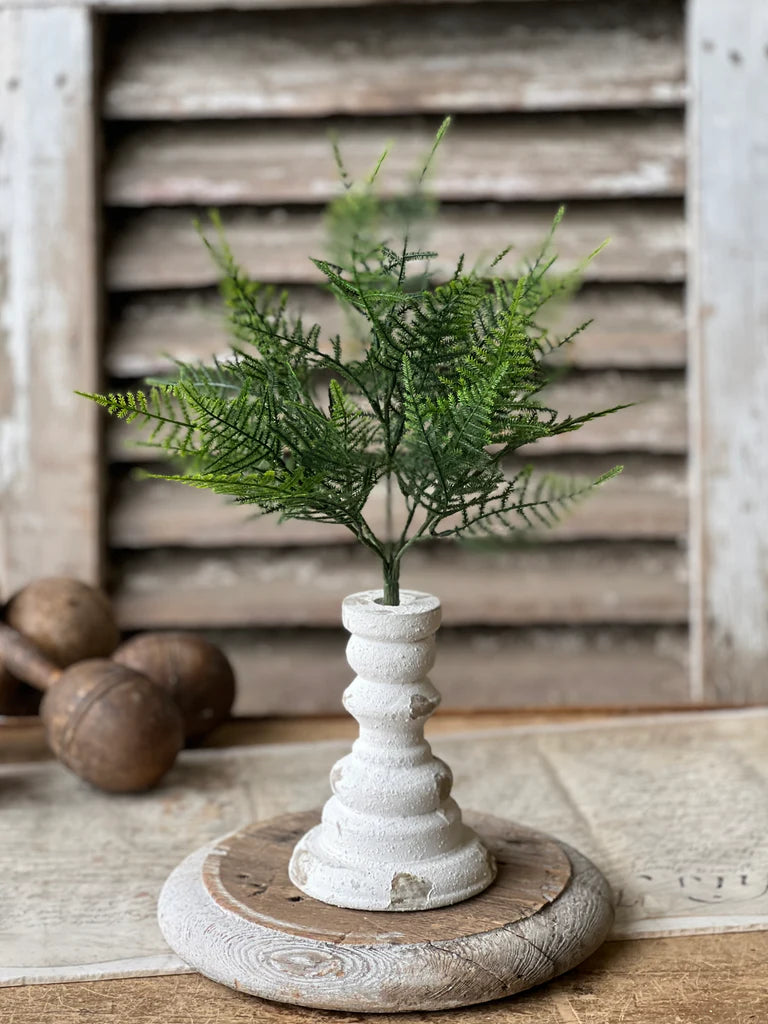 Wayfarer Fern Bush, Feathered Farmhouse