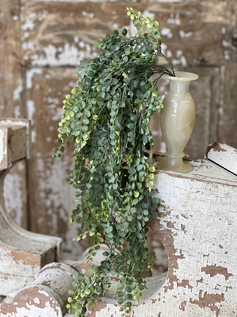 Cherub Vine Hanging, Feathered Farmhouse