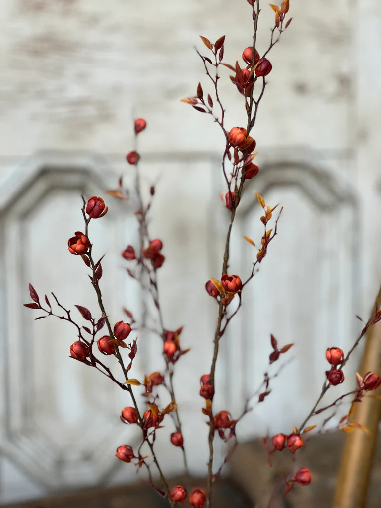 Wildfire Buds Spray, Feathered Farmhouse
