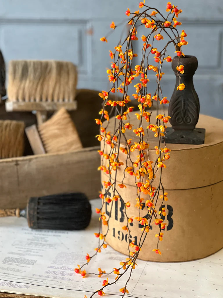 Briery Bittersweet Hanging, Feathered Farmhouse