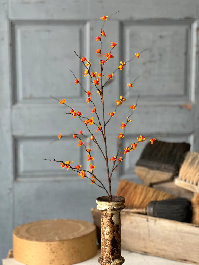 Briery Bittersweet Spray, Feathered Farmhouse