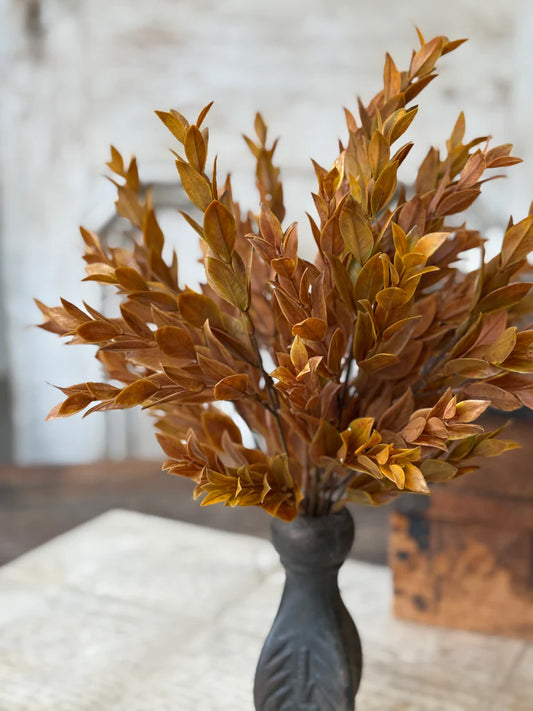 Sienna Hollow Bush, Feathered Farmhouse