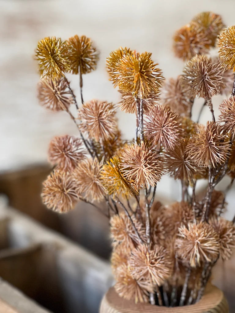 Urchin Buds, The Feathered Farmhouse