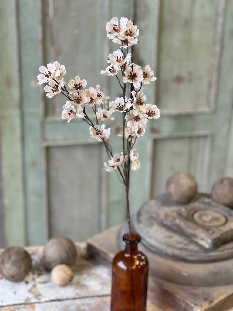 Cream Cosmos Stem, Feathered Farmhouse