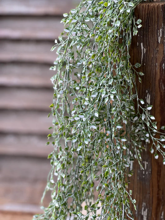 Little Luna Hanging, Feathered Farmhouse