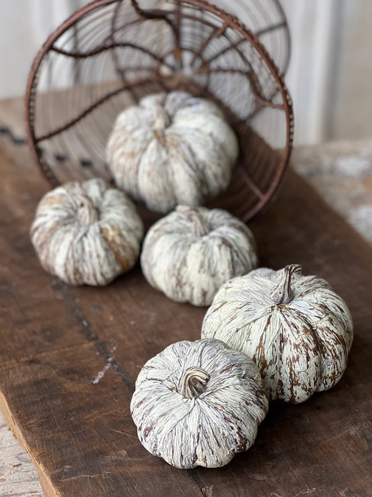 Timberland Pumpkins, The Feathered Farmhouse