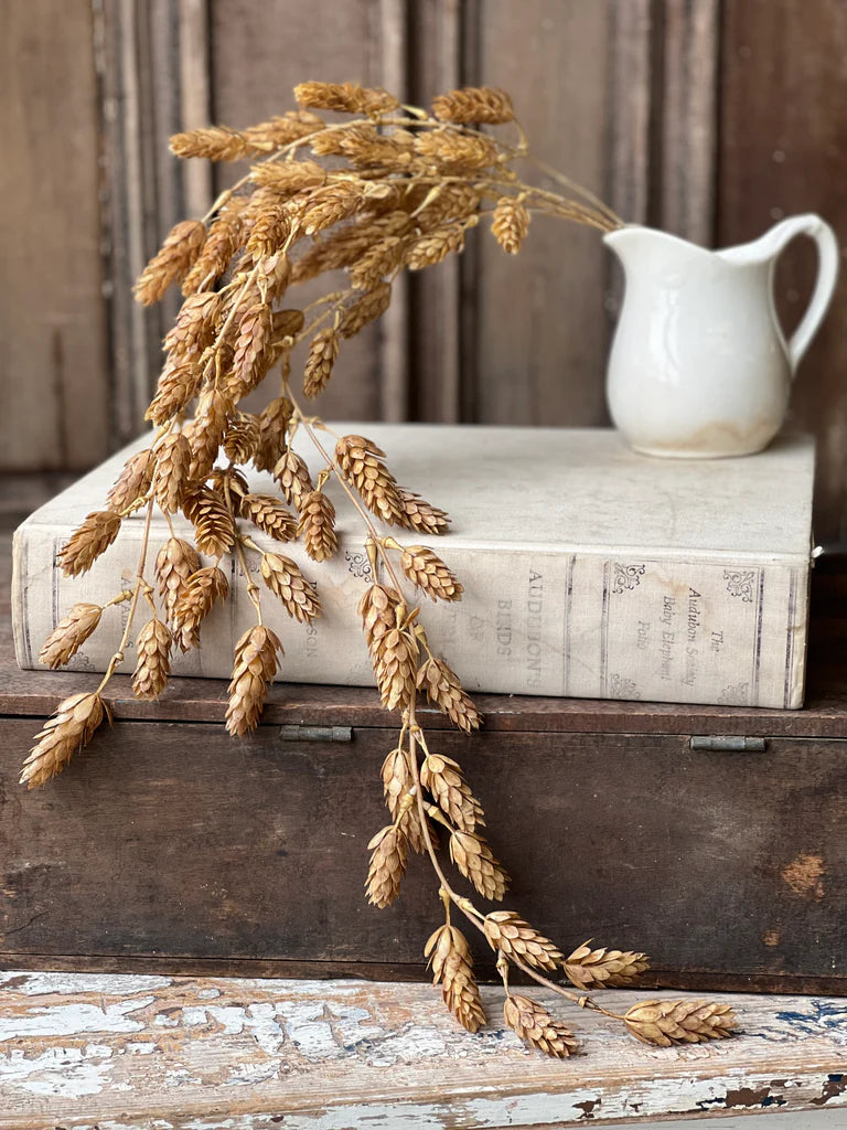 Beige Hanging Hops, Feathered Farmhouse