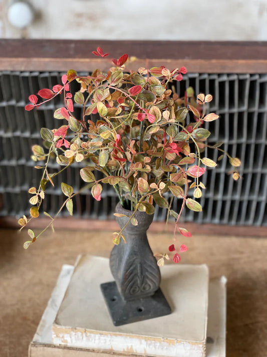 Bog Pimpernel Bush, Feathered Farmhouse