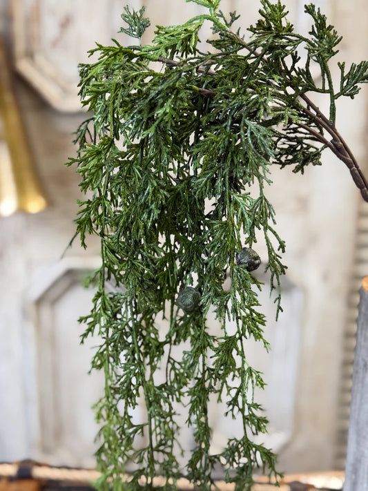 Greenfall Cedar Hanging, Feathered Farmhouse
