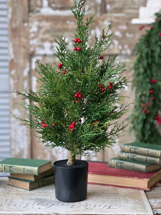Crimson Jubilee Cedar Tree, Feathered Farmhouse