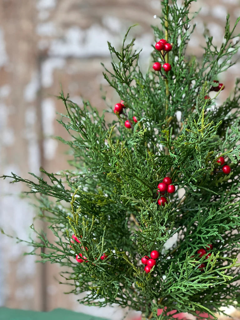 Crimson Jubilee Cedar Tree, Feathered Farmhouse