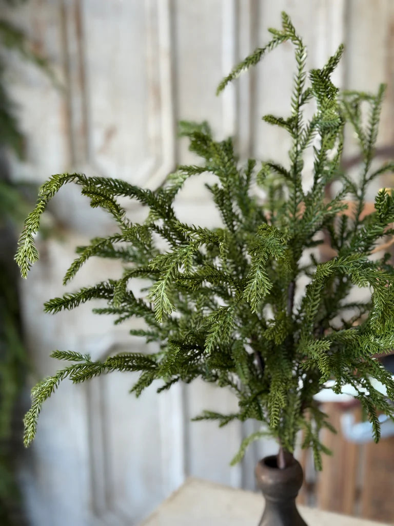 Greenwood Valley Bush, Feathered Farmhouse