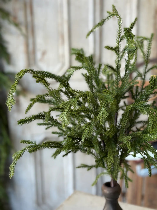 Greenwood Valley Bush, Feathered Farmhouse