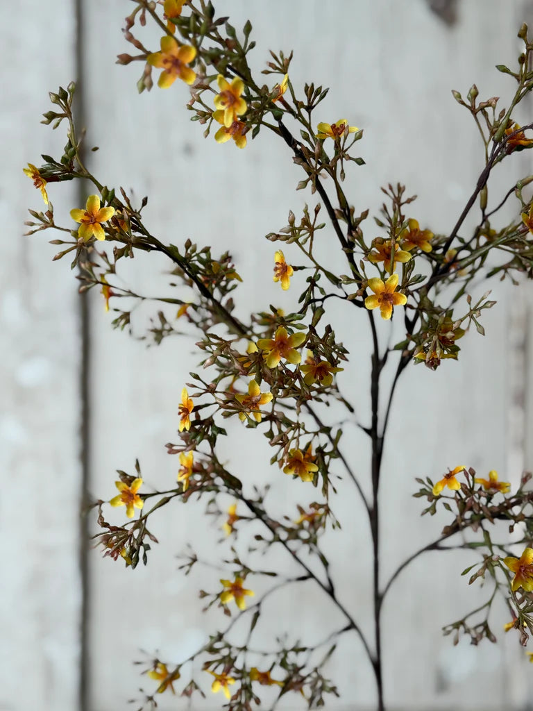 Meadowhue Blooms, Feathered Farmhouse