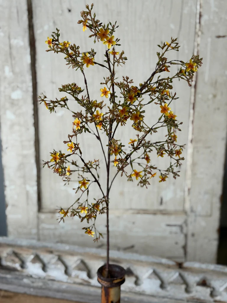 Meadowhue Blooms, Feathered Farmhouse