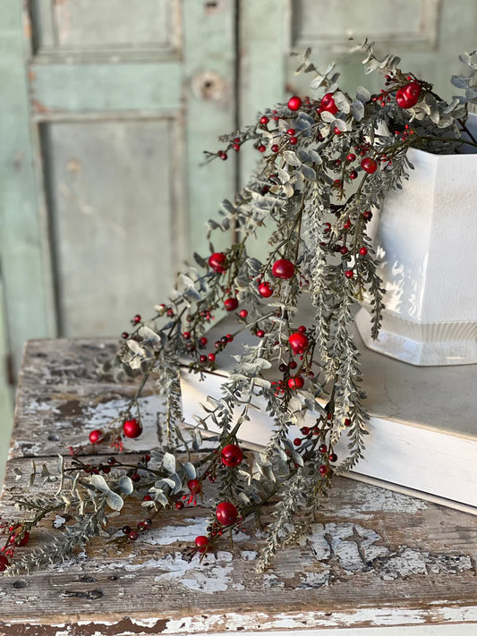 Cashel Berry Eucalyptus Hanging, Feathered Farmhouse