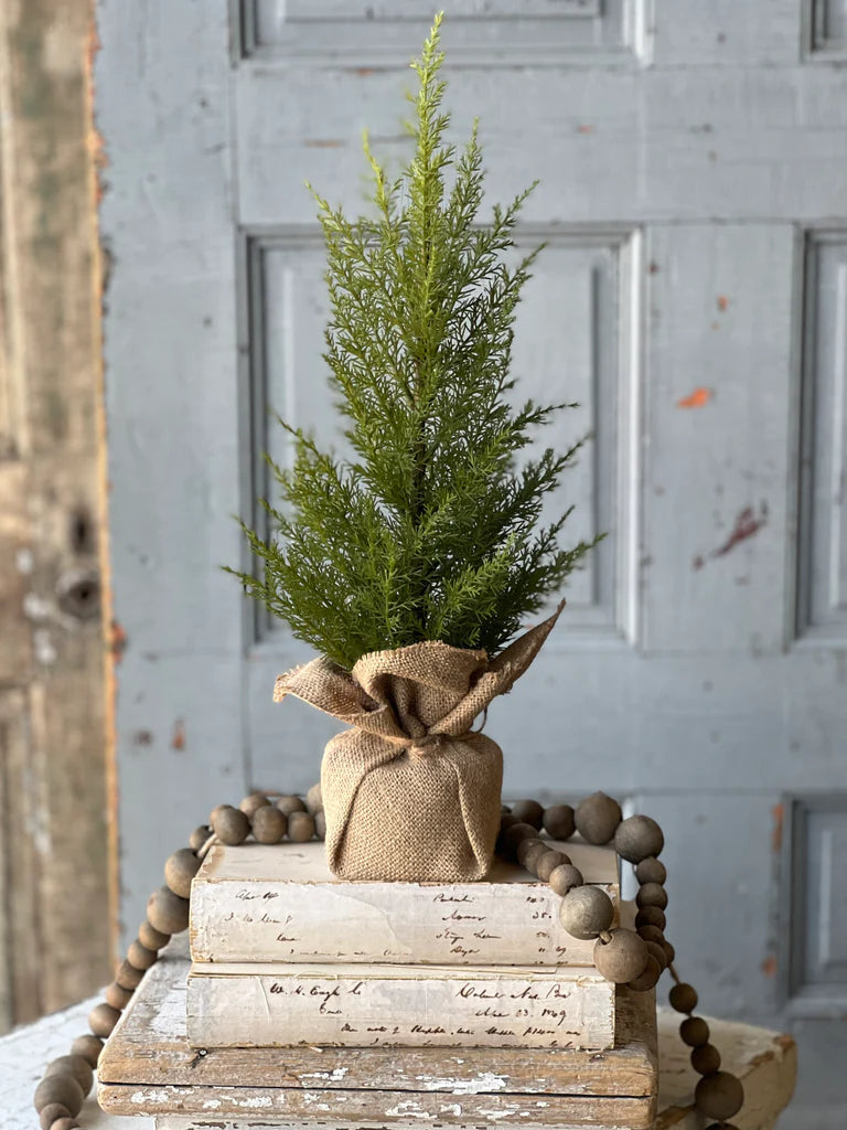 Fine Cedar Tree, The Feathered Farmhouse