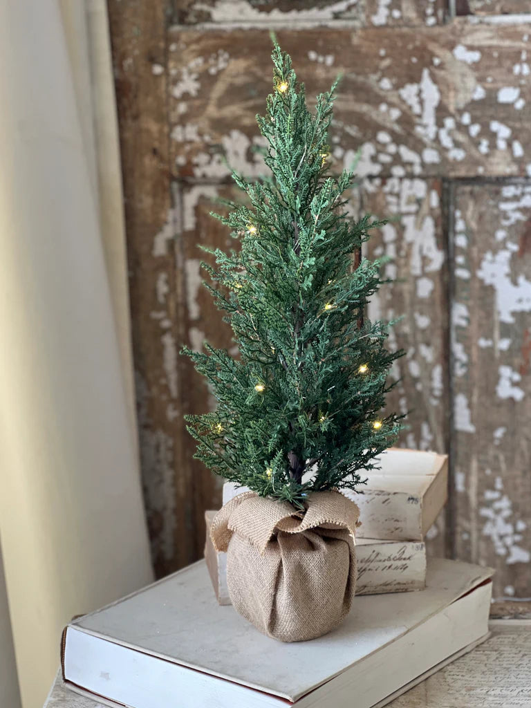 Starlit Cedar Tree, Feathered Farmhouse