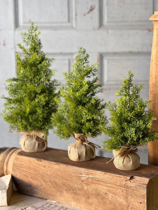Midland Tree