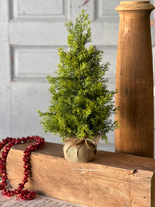 Midland Tree, Feathered Farmhouse