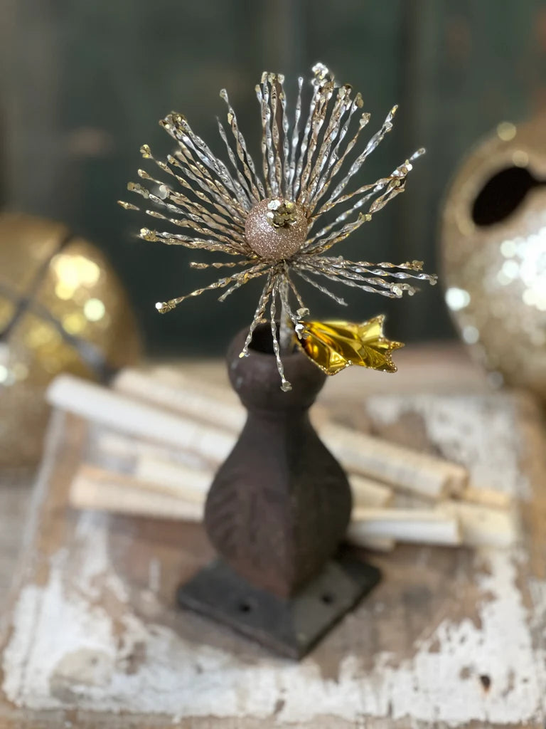Shining Glimmer Wish Pick, Feathered Farmhouse