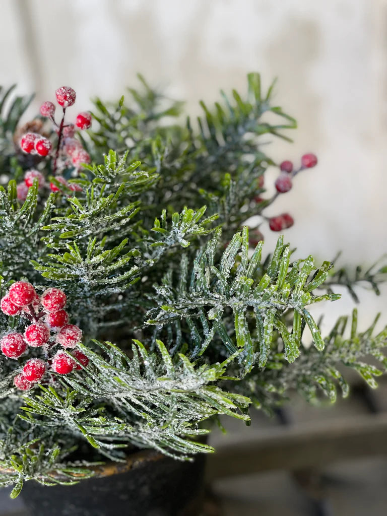 Winter Jewel Hemlock Orb, The Feathered Farmhouse