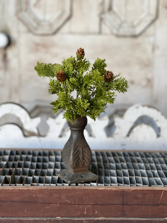 Leyland Cypress Bush, Feathered Farmhouse