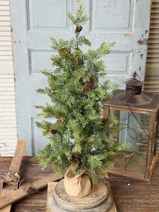 Longhope Cedar Tree, Feathered Farmhouse