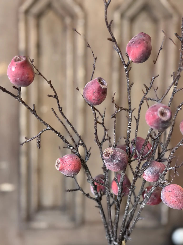 Pisa Pods Bundle, Feathered Farmhouse
