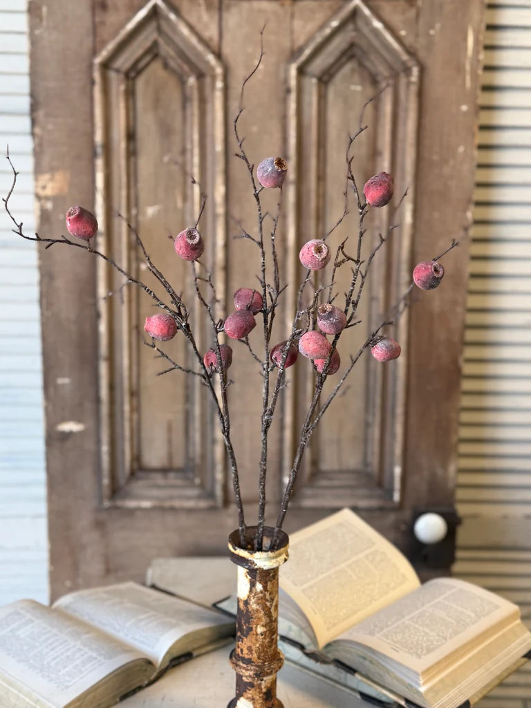 Pisa Pods Bundle, Feathered Farmhouse