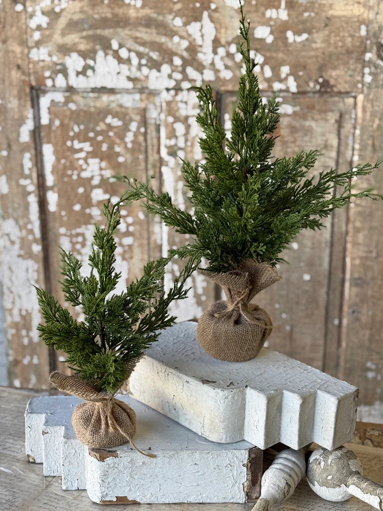 Woodland Cedar Tree, Feathered Farmhouse