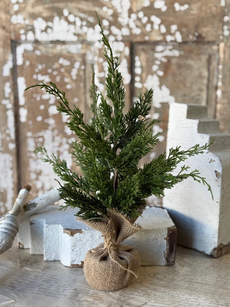 Woodland Cedar Tree, Feathered Farmhouse