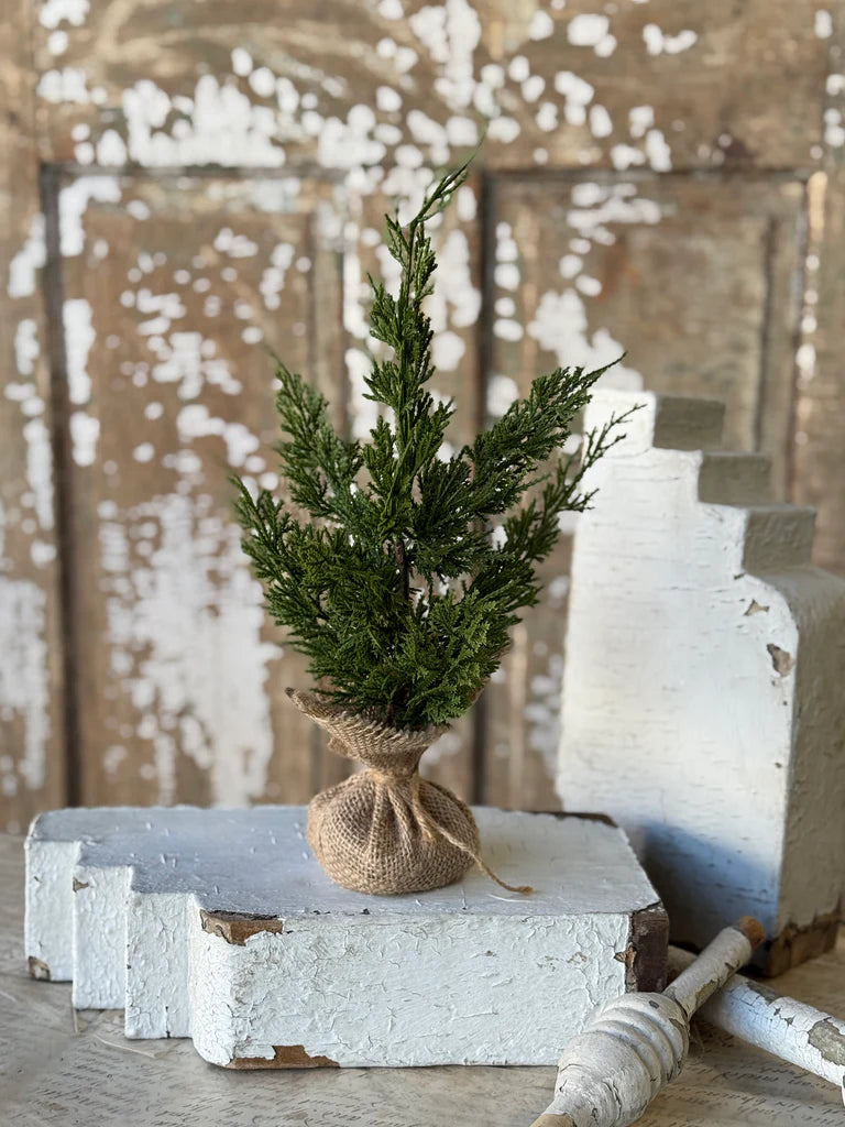 Woodland Cedar Tree, Feathered Farmhouse