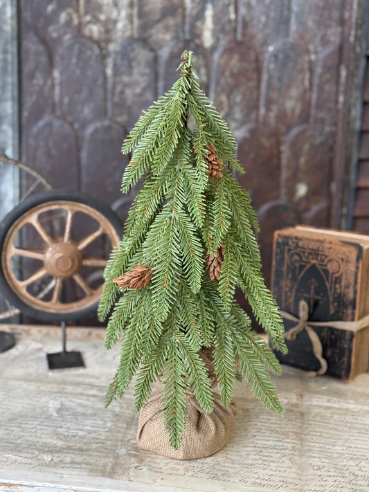 Arden Fir Tree, Feathered Farmhouse