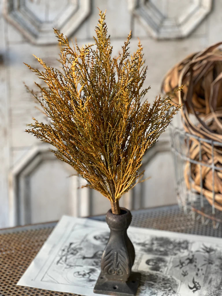 Wildthorn Bush, The Feathered Farmhouse