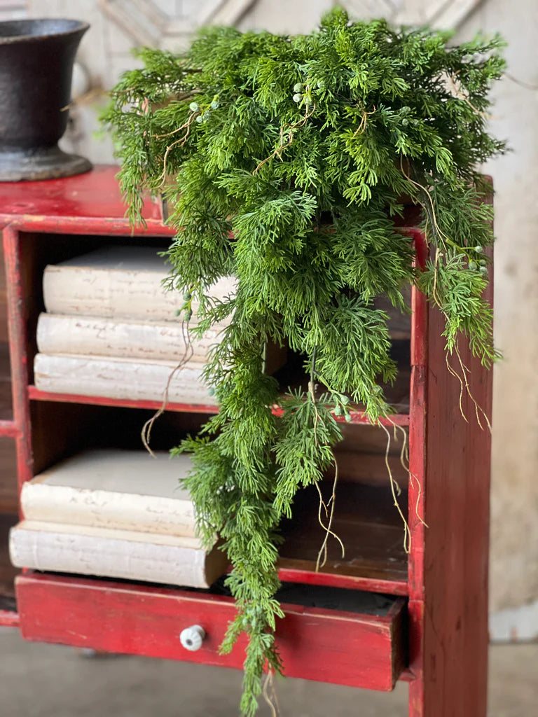 Dripping Cedar Hanging, Feathered Farmhouse