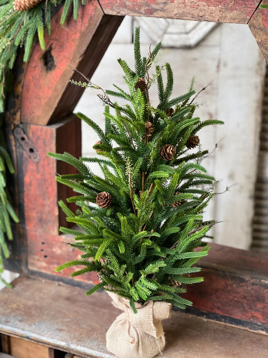 Pencil Pine Tree, Feathered Farmhouse