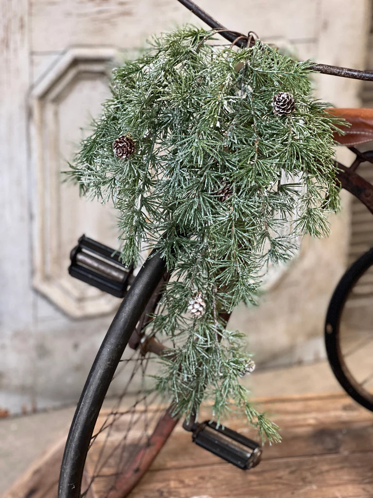 Hanging Shining Spindle Pine, The Feathered Farmhouse