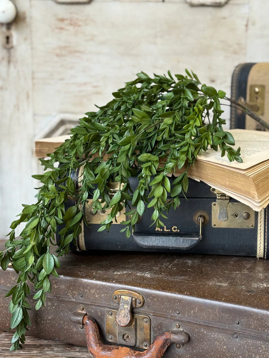 Nottswood Leaves Hanging, Feathered Farmhouse