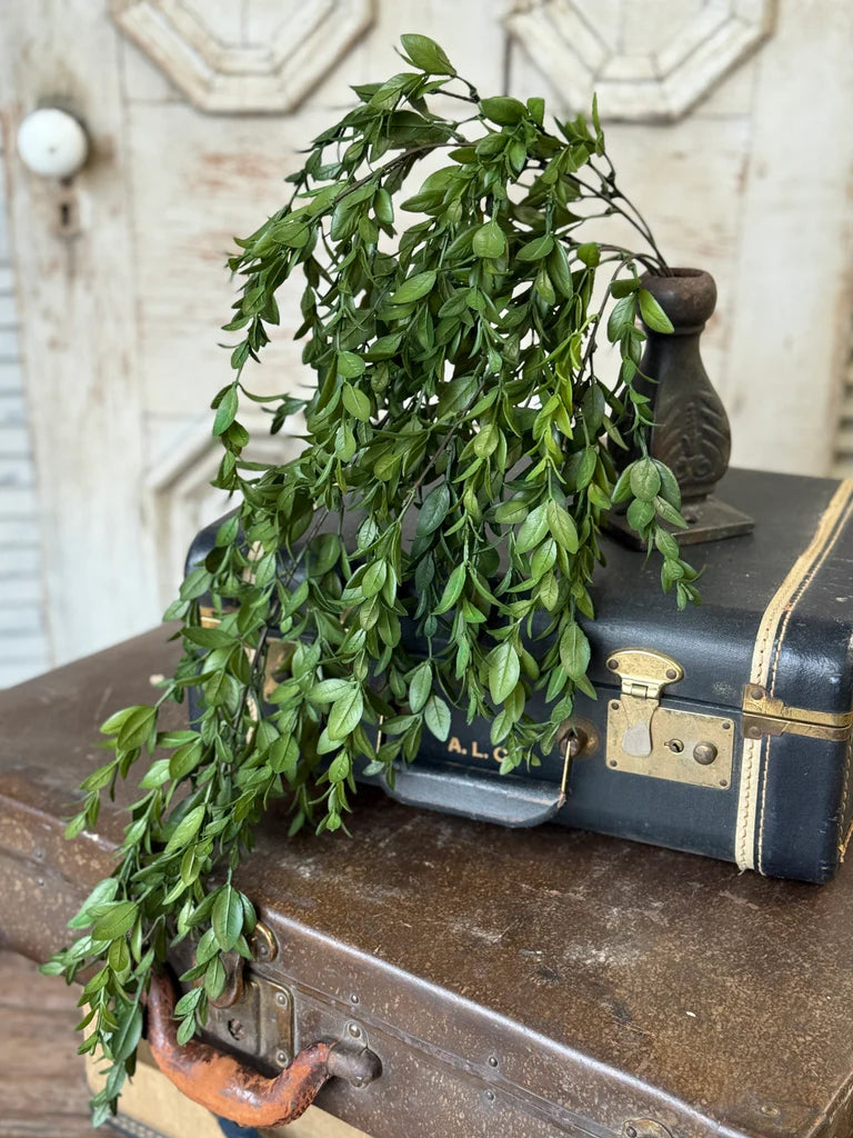Nottswood Leaves Hanging, Feathered Farmhouse