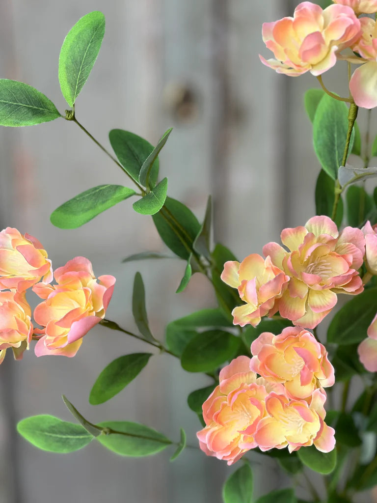 Isla Blooms Bush, Feathered Farmhouse