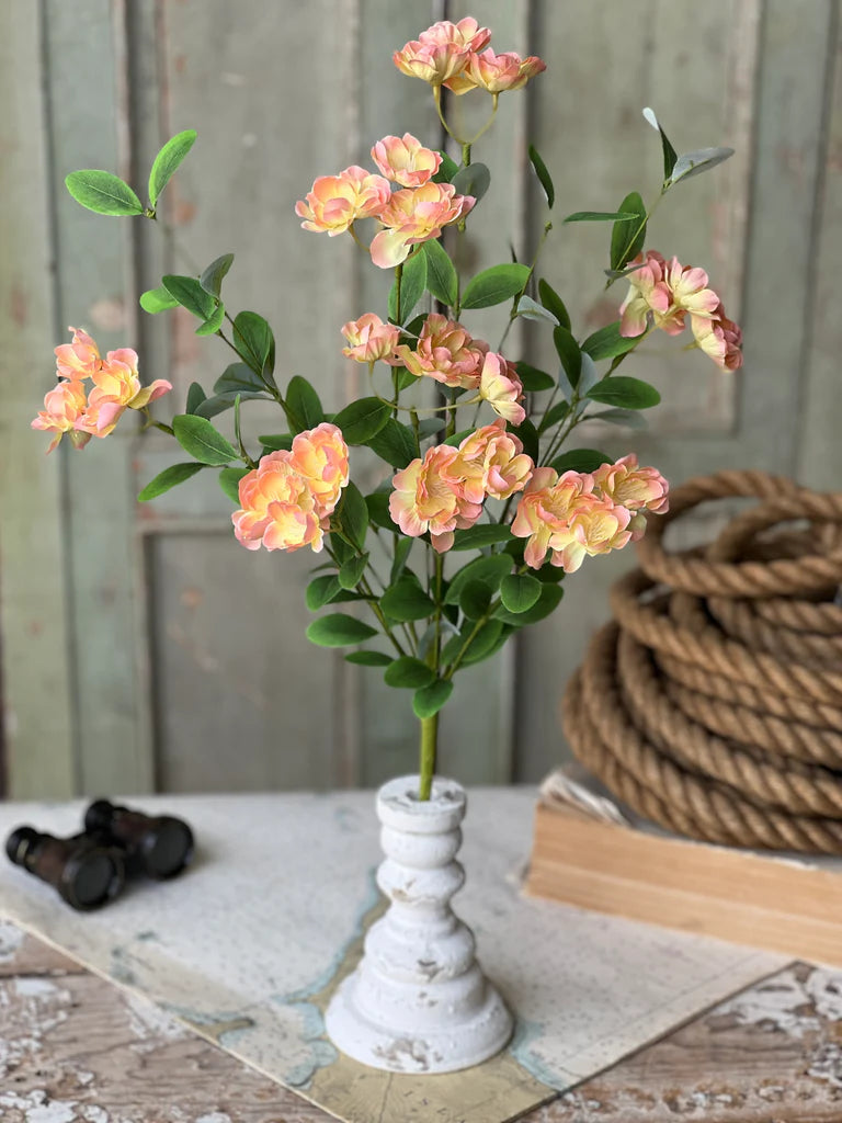 Isla Blooms Bush, Feathered Farmhouse