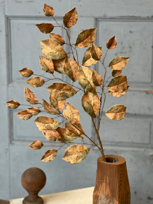 Spectator Stems, Feathered Farmhouse