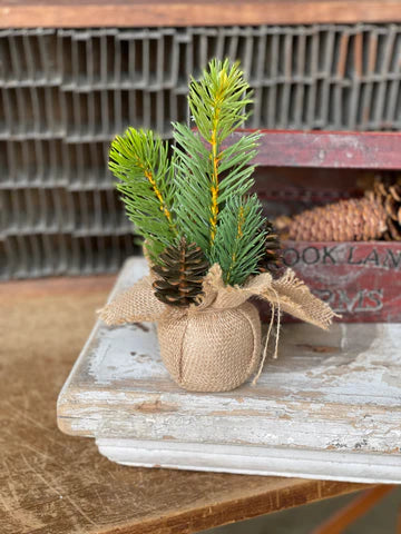 Yukon Pine Tree, Feathered Farmhouse