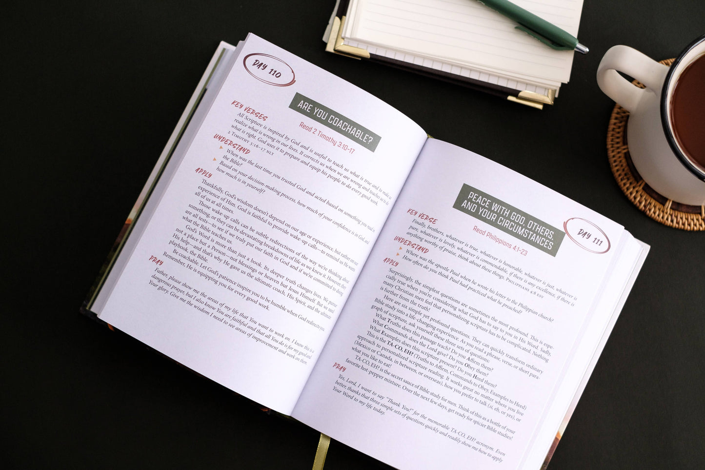 The 5-Minute Bible Study Plan for Men, Feathered Farmhouse