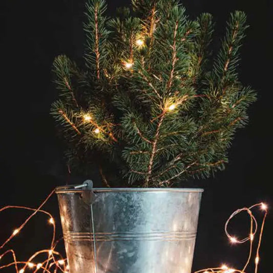 Copper Wire Mini Lights, Feathered Farmhouse