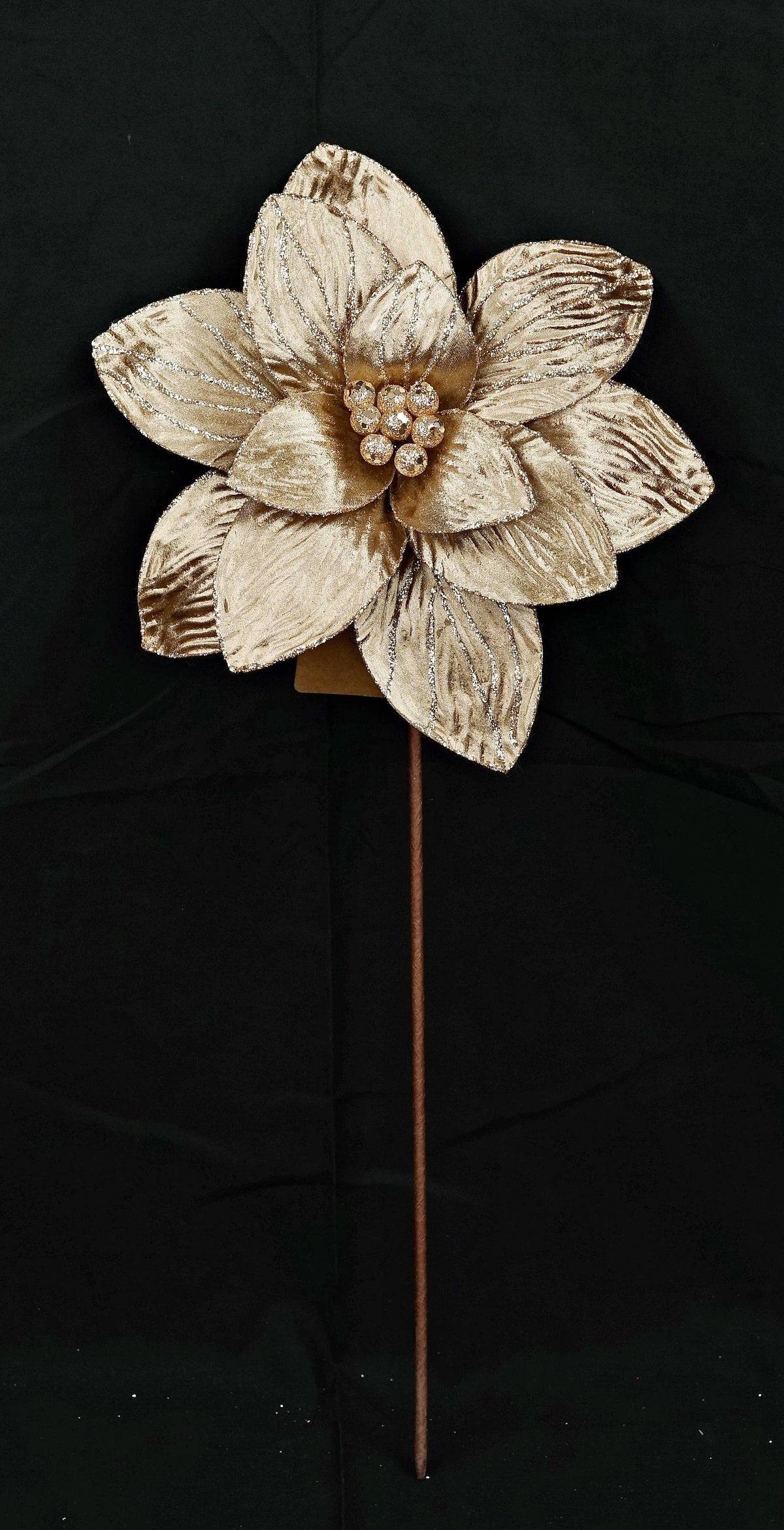 Champagne Gold Metallic Amaryllis Stem, Feathered Farmhouse