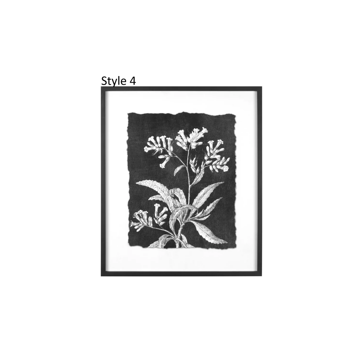 Botanical Print, Feathered Farmhouse