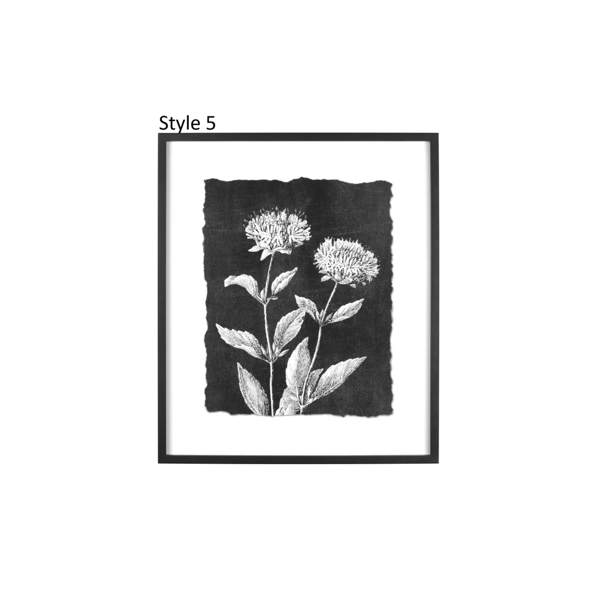 Botanical Print, Feathered Farmhouse